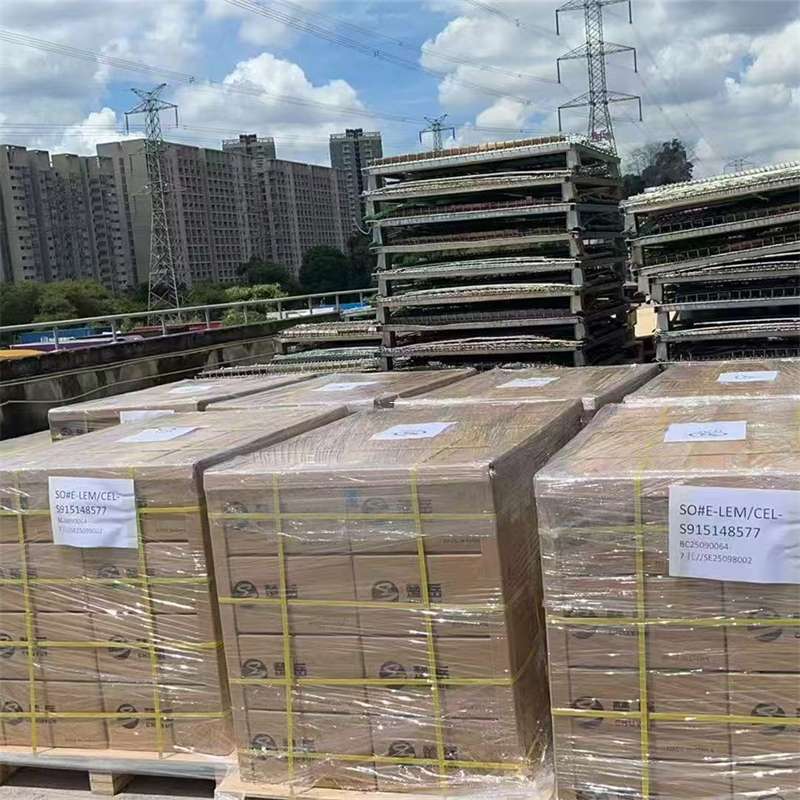 振安区探索高陵区进仓物流专线运输的多元世界
